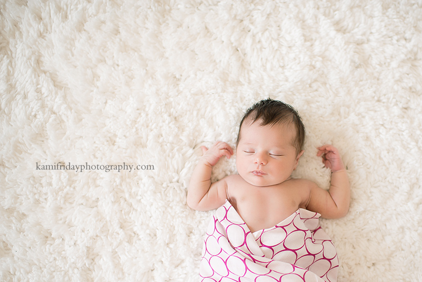 NH newborn photographer photo