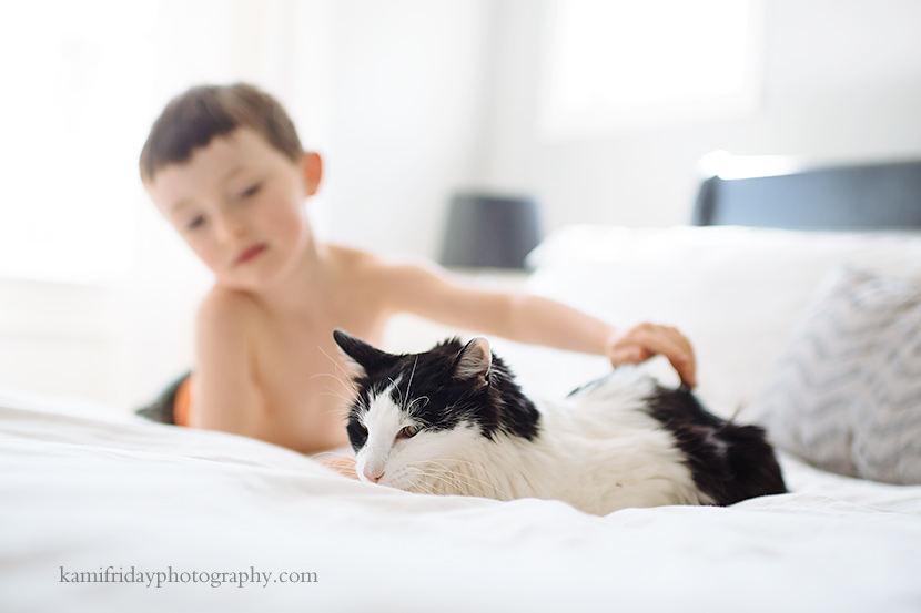 boy and cat photography