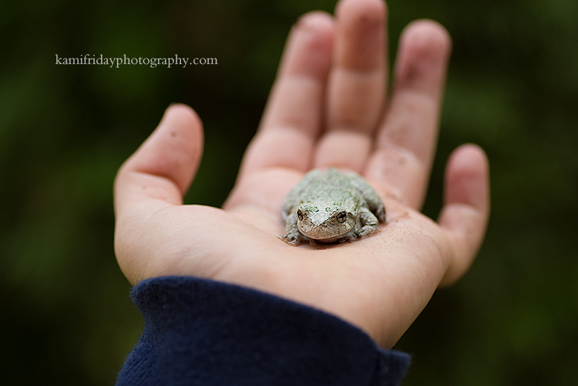 NH-children-and-nature-photography tree frog
