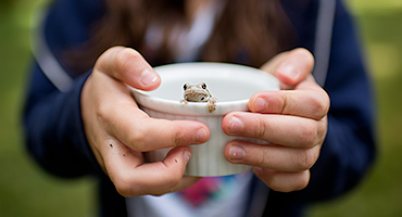 NH-children-and-nature-photography