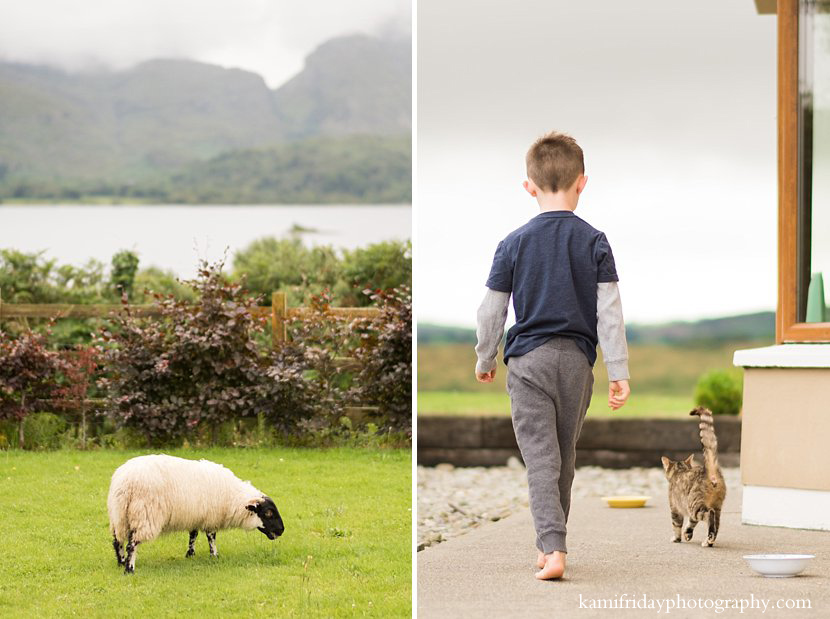 50 Shades of Green - NH photographer's Ireland family adventure