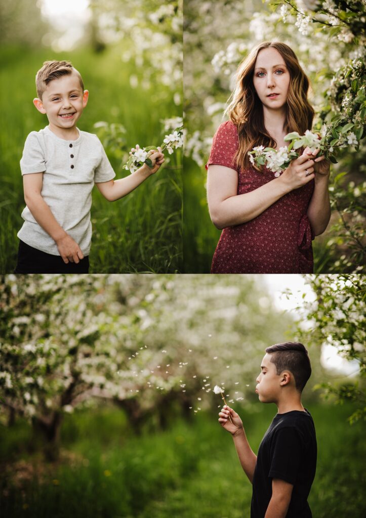 Spring in Bloom - Family Photographer in Nashua NH